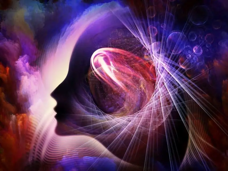 What Part of the Brain Controls Spirituality